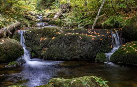 Bavarian Forest, Bavaria, Germany Stock Photo - Image of mountains, stream: 61200116