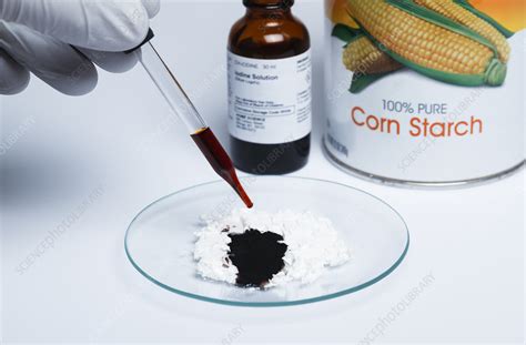 Iodine test for starch - Stock Image - C030/7159 - Science Photo Library