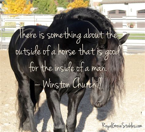 Royal Grove Stables Blog: INSPIRATIONAL HORSE QUOTES