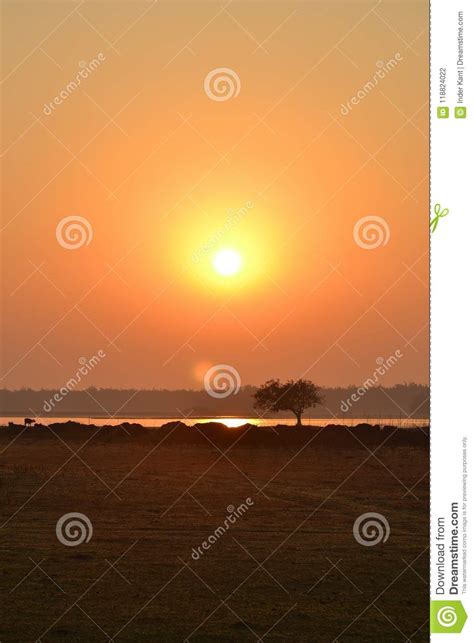 Chilka Sunset Royalty-Free Stock Image | CartoonDealer.com #664798