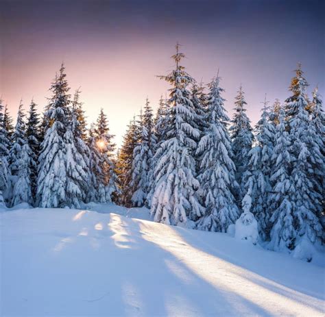 Beautiful Winter Sunrise In The Mountains. Stock Photo - Image of ...