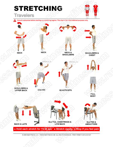 Pdf Printable Stretching Exercises For Seniors