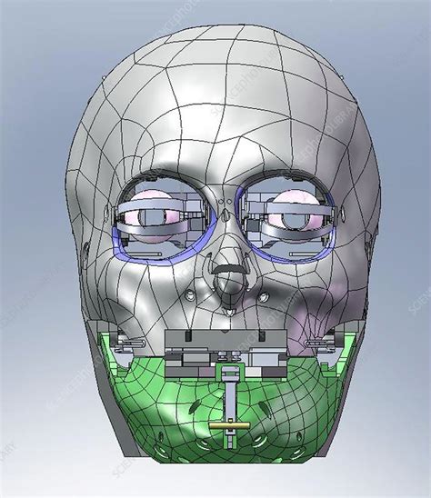 Robot head, computer artwork - Stock Image T280/0250 - Science Photo Library