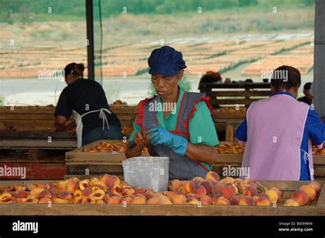 Montagu dried fruit & nuts (2 Stock Photo - Alamy