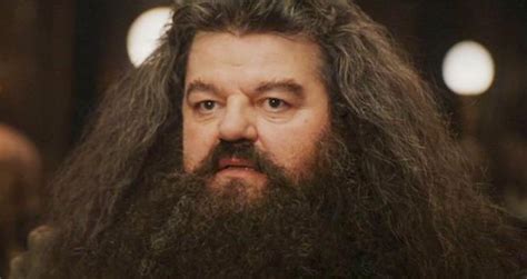 Hagrid Blank Template - Imgflip