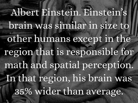 Brain Facts by Anastasia Timoshenko