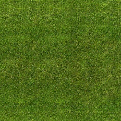 Grass Texture | SEAMLESS GRASS TEXTURE | 텍스쳐 디자인, 잔디, 나무 그리는 법