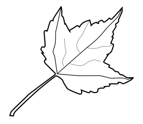 Clipart Leaves Black And White Cartoon