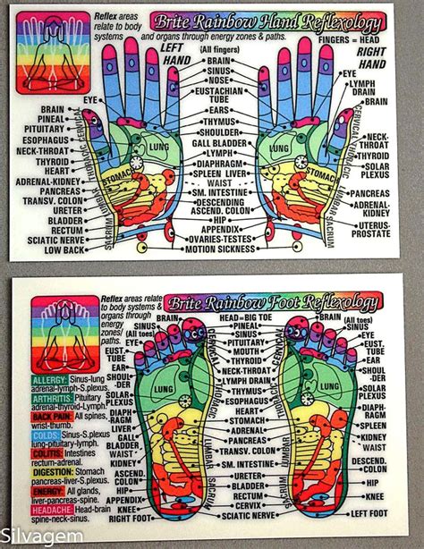 Hand And Feet Reflexology Chart