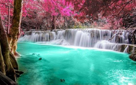 waterfall, Forest, Colorful, Nature, Thailand, Trees, Landscape, Pink ...