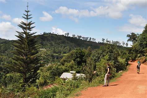 Usambara mountains - Unieke reizen naar Usambara in Tanzania