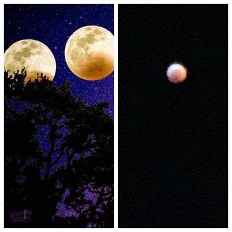 Blood Moon photography... : r/ExpectationVsReality