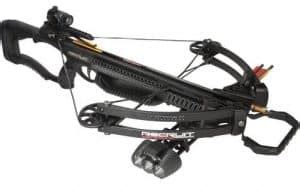 5 Types of Crossbows (And Some Interesting Facts)