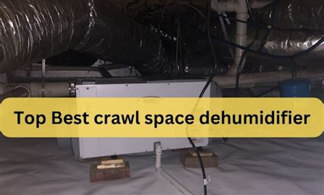 Top Best crawl space dehumidifier - MyHomeComplex