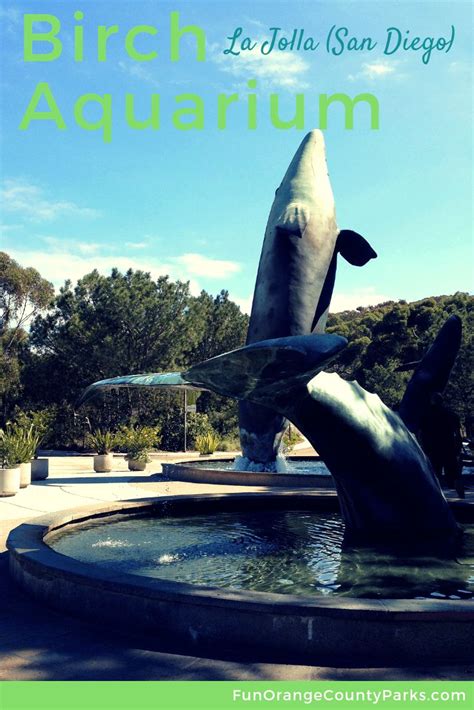 Birch Aquarium at Scripps in La Jolla (San Diego) | San diego travel ...