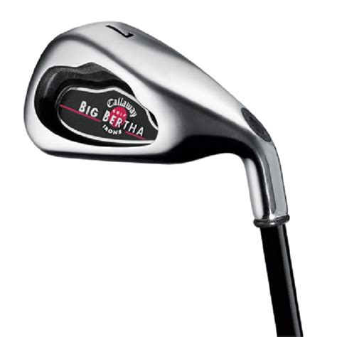 Callaway Big Bertha 2004 Iron Set 4-10, W Used Golf Club at GlobalGolf.ca