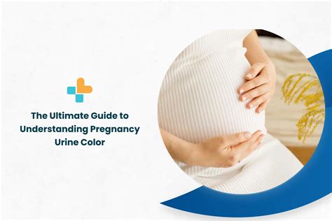 The Ultimate Guide To Understanding Pregnancy Urine Color - Ayu Health