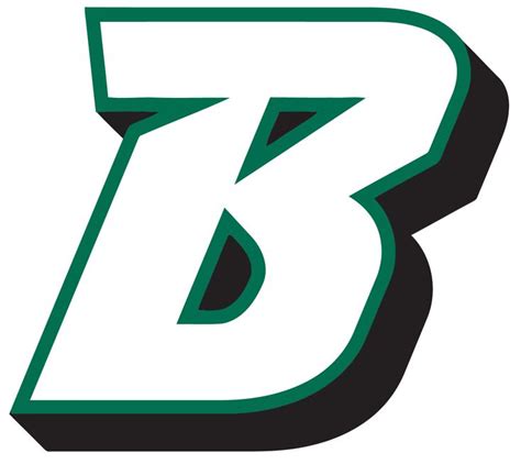 Binghamton Bearcats Logo png vector | Binghamton, Bearcats, College logo