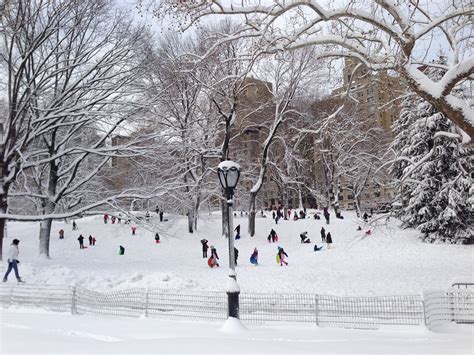 Snow in Central Park | Central park, Snow, Park