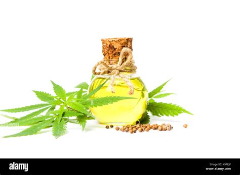 Cannabis oil in a bottle isolated on white background Stock Photo - Alamy