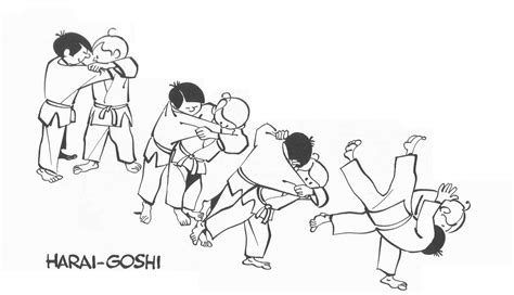 Judo Technique: Harai-Goshi