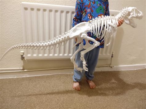 3D printed dinosaur skeleton : r/nextfuckinglevel