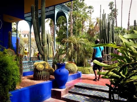 How to visit magnificent Majorelle botanic garden in Marrakesh