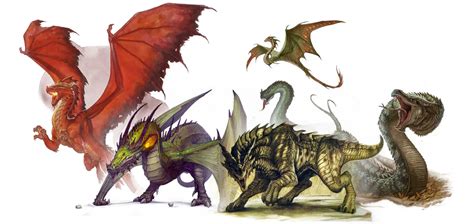 Dragons, Drakes, Wyrms and Wyverns - What Are The Differences ...