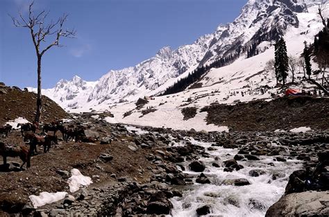 A carpet of snow at Sonmarg Kashmir