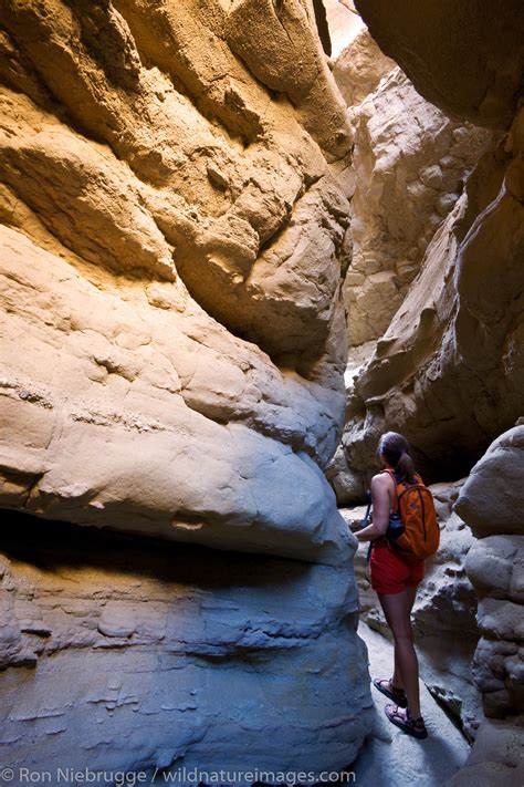 Slot Canyon | Photos by Ron Niebrugge