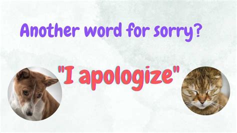 Sorry, not sorry! Apologize in a sentence: 110 Examples