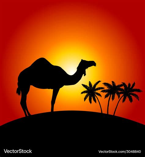 Silhouette camel on sunset background Royalty Free Vector