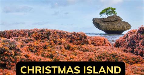 Christmas Island - An Amazing Ecotourism Destination