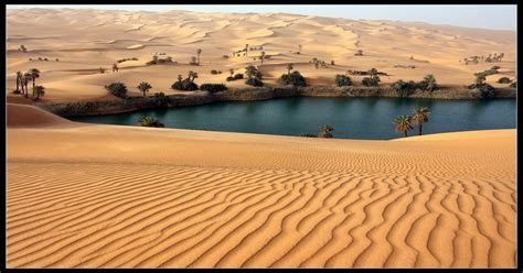 Oasis in the Sahara Desert [1230x830] : EarthPorn