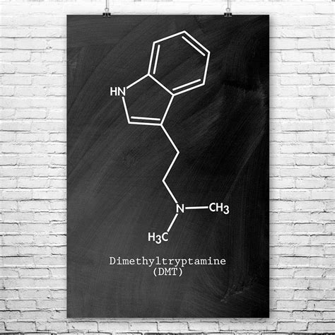 DMT Molecule Poster Print DMT Art Print Hippie Gift Stoner | Etsy