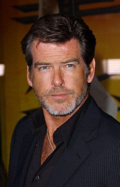 pierce brosnan | Pierce brosnan, Actors, Movie stars