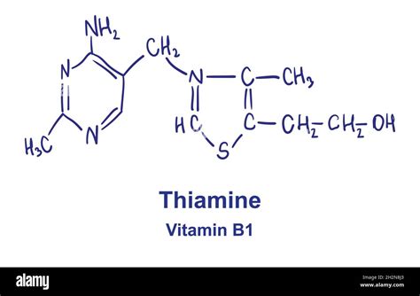 Thiamine chemical structure. Vector illustration Hand drawn Stock Vector Image & Art - Alamy