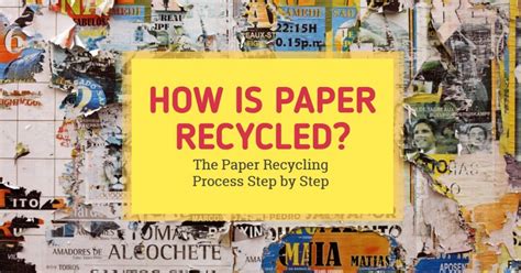 How is Paper Recycled? The Paper Recycling Process Step by Step - T.J.Cottis Transport LTD