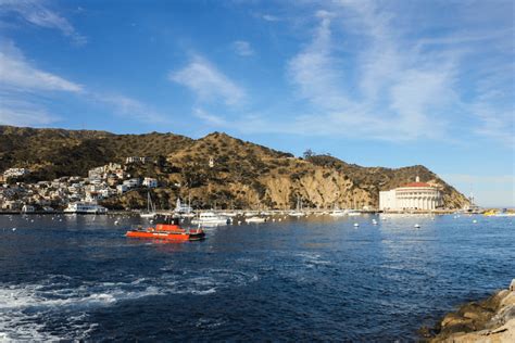 Winter Sun and Catalina Island Fun in Califorina - Pure Wander