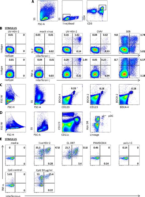 Representative flow cytometry data. (A) Gating scheme for CD4 T-cell... | Download Scientific ...