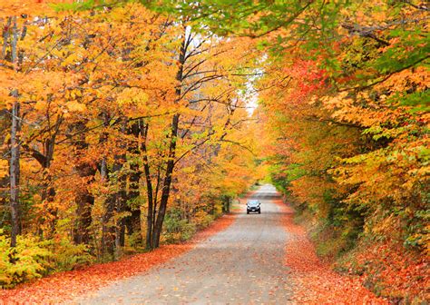 Best places for fall foliage in New England, Boston, Acadia National Park