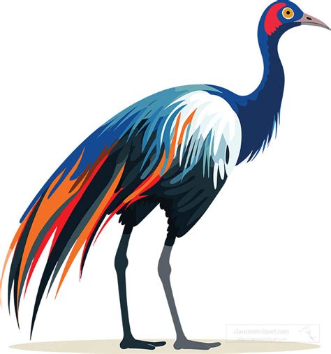 Animal Clipart-cassowary large flightless bird