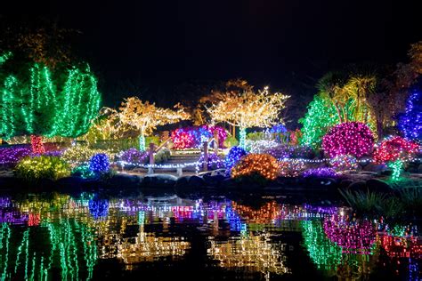 Annual Holiday Lights at Shore Acres | Oregon Tour & Travel Alliance