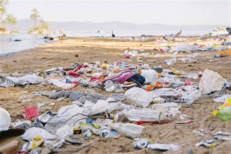 Over 8,500 Lbs. of Trash Left at Lake Tahoe Beaches After Fourth of ...