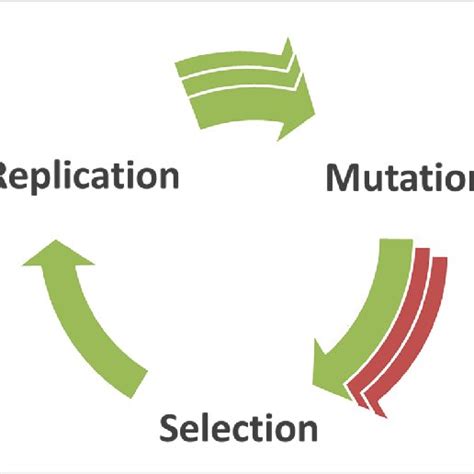 Three processes involved in Darwinian evolution. Species must be ...