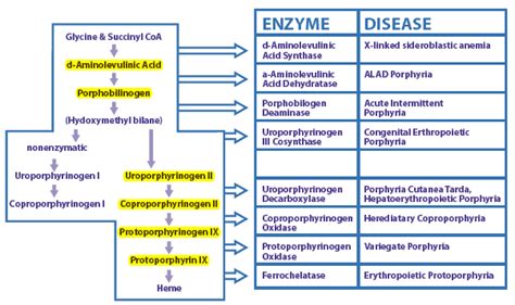 Diagnosis - American Porphyria Foundation