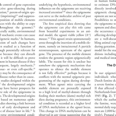 How the epigenome can link early development and adult disease ...