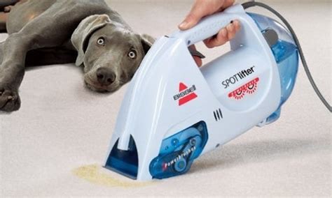 Best Small Bissell Carpet Shampooer - Steam Cleanery