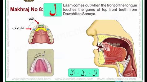 Makhraj No 8/17 - Makhraj of Laam - Articulation Points of Arabic Alphabet Letters - YouTube
