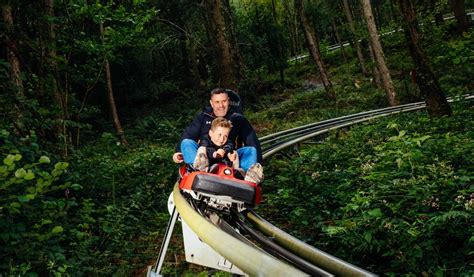 Zip World Fforest - Adventure Park / Playground in Betws-y-Coed, Betws-y-Coed - Visit Conwy